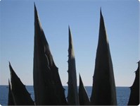 Otok Lošinj Otok Lošinj