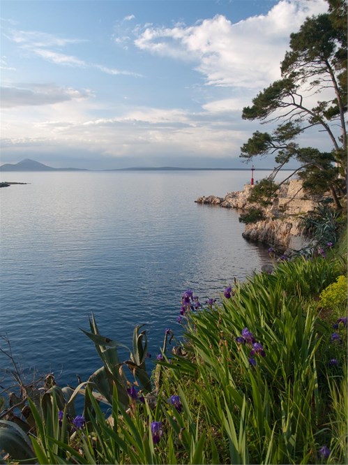 Otok Losinj