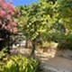 Otok Lošinj - app Malin