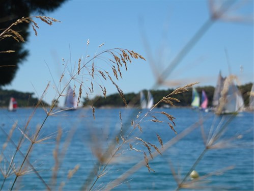 'No-wind-regatta'
Autor: Arja Tataj,
Mali Lošinj