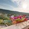 Otok Lošinj Mariano
 - app - Mariano 2