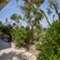 Alma - sohttp://dcms.dizzy.hr/_cache/islandlosinj_slika_9eaec77520584fc4b4f8e017f21ee402.jpg,140x101,Resize.jpgba Alma 2 - Otok Lošinj