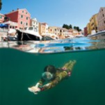 Veli Losinj
Island Losinj
http://www.island-losinj.com/