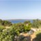 Otok Lošinj - Villa Amorosa Otok Lošinj - Villa Amorosa
